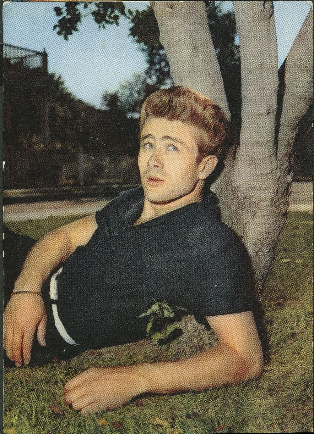 (image for) James Dean #0887